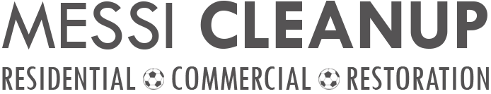 Cleaning Services pros