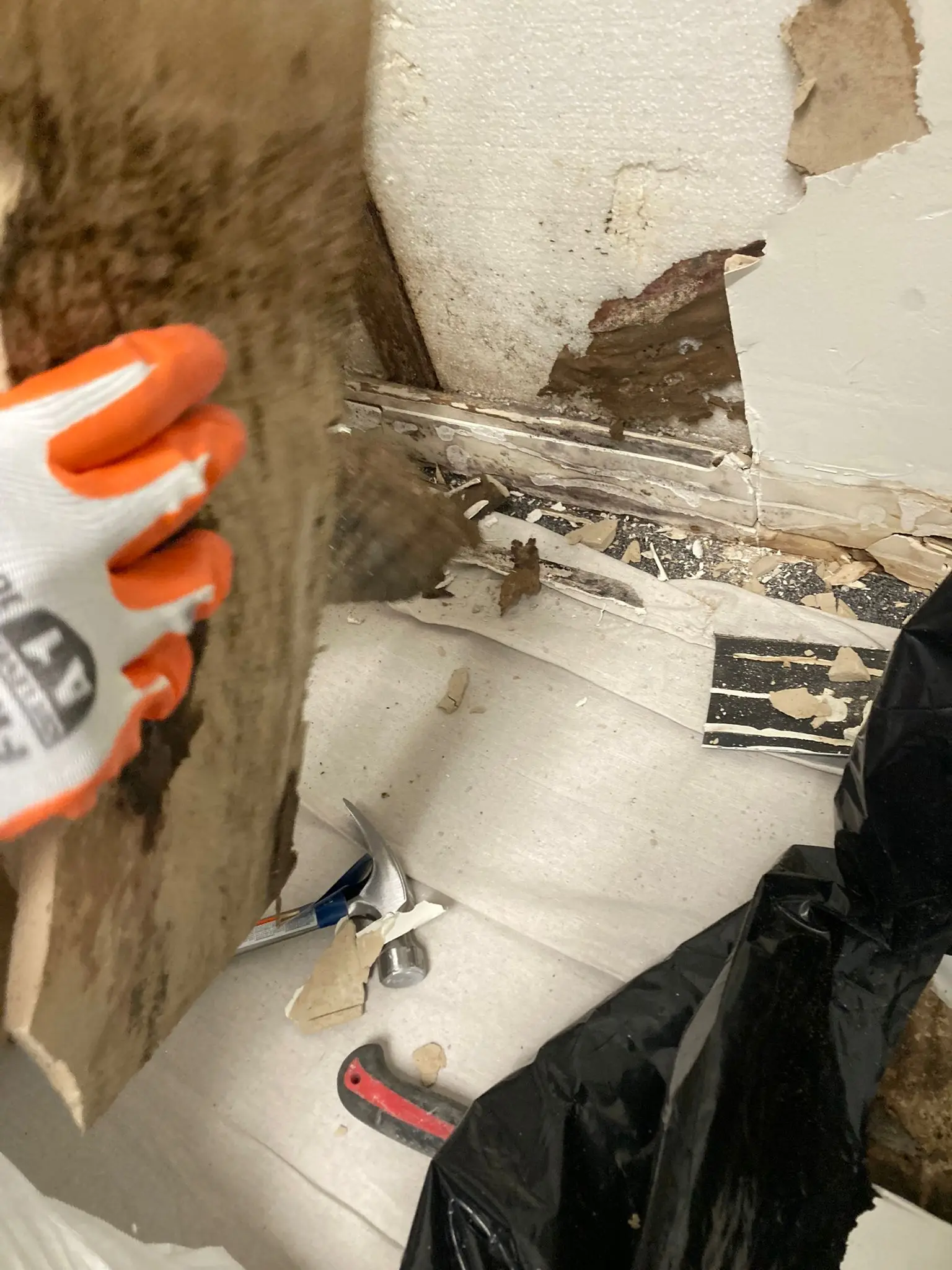 Cleaning Services in my area